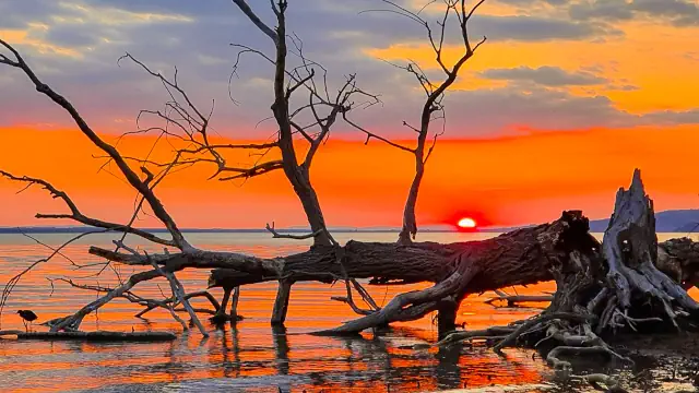 Immagine tramonto Lago Trasimeno