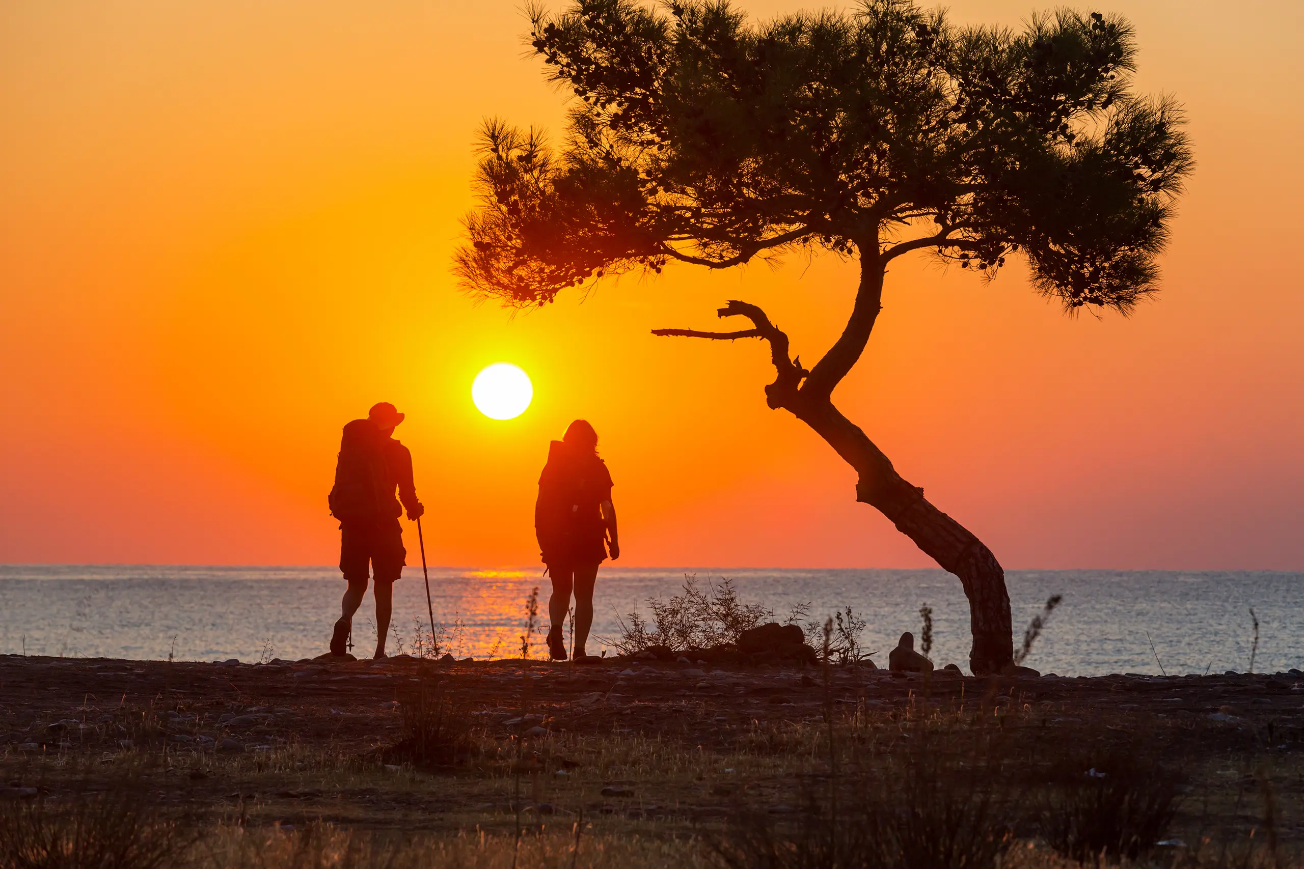 Due persone che fanno trekking stanno passando vicino a un pino, e osservano un tramonto sul lago.